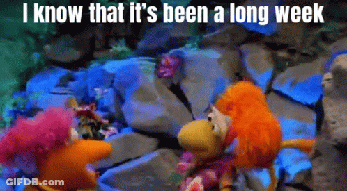 Two Stuffed Animals Standing Next To Each Other With The Words " I Know That It 'S Been A Long Week " Written Above Them GIF