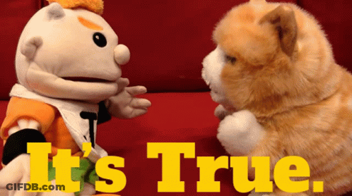 Two Stuffed Animals With The Words It 'S True On The Bottom Right GIF