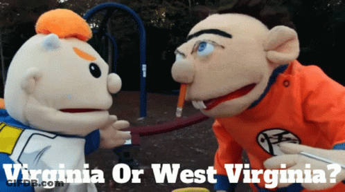 Two Stuffed Animals With Virginia Or West Virginia GIF