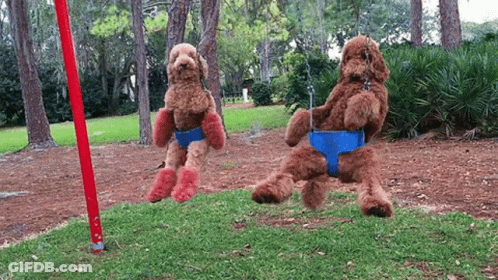 Two Stuffed Dogs Playing On Swing Set GIF