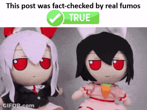 Two Stuffed Dolls Are Sitting Next To Each Other With A Check Mark Above Them That Says True GIF