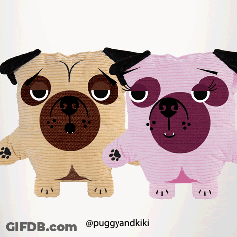 Two Stuffed Pugs Sitting With Puggyandkiki GIF