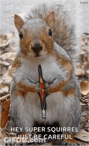 Two Superheroes Pointing At Sign Saying Let Squirrel Die GIF