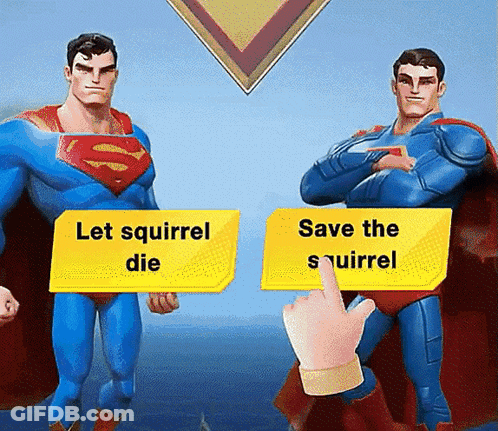 Two Superheroes With Sign Let Squirrel Die And Save The Squirrel GIF
