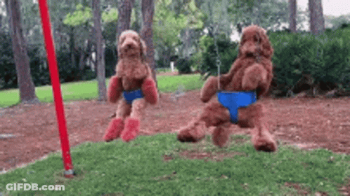Two Teddy Bears Are Sitting On A Swing In The Grass . GIF
