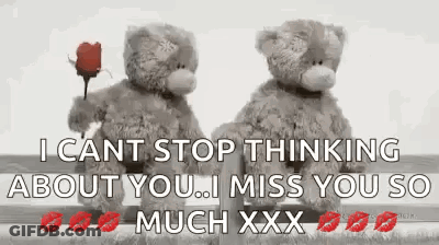 Two Teddy Bears Are Standing Next To Each Other With A Rose In Their Hand . GIF