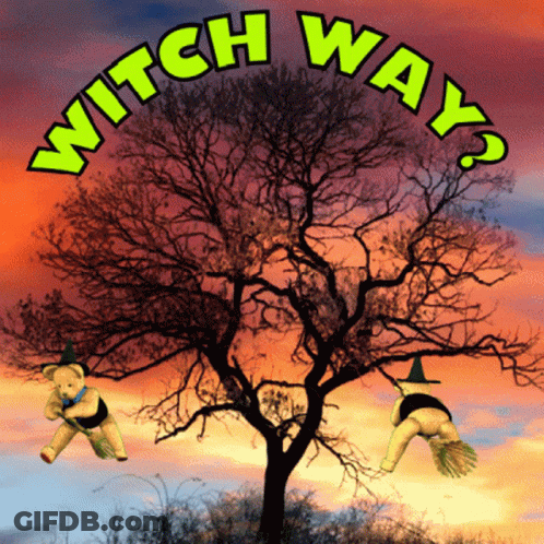 Two Teddy Bears Flying In Front Of Tree Saying Witch Way GIF