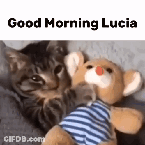 Two Teddy Bears Hugging I Love You Lucy <3 GIF