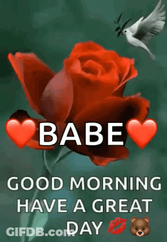 Two Teddy Bears Laying On Bed Saying Good Morning Babe GIF