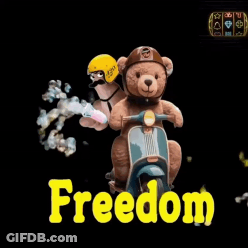 Two Teddy Bears Riding Scooter Saying Freedom In Yellow GIF