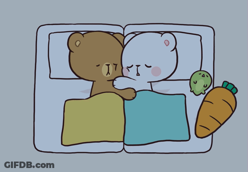 Two Teddy Bears Sleeping Next To Each Other GIF