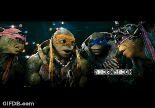 Two Teenage Mutant Ninja Turtles GIF