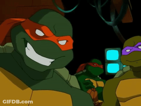 Two Teenage Mutant Ninja Turtles GIF