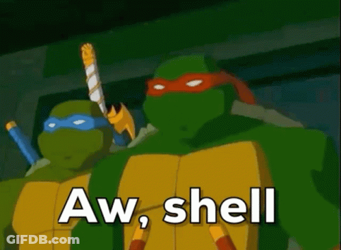 Two Teenage Mutant Ninja Turtles Holding Swords Saying Aw Shell GIF