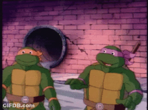 Two Teenage Mutant Ninja Turtles In Front Of Brick Wall GIF