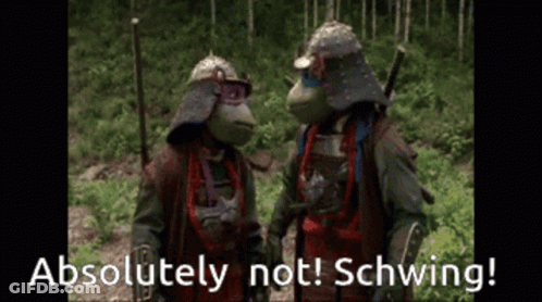 Two Teenage Mutant Ninja Turtles Standing Next To Each Other With The Words Absolutely Not Schwing Below Them GIF