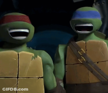 Two Teenage Mutant Ninja Turtles Standing Together GIF