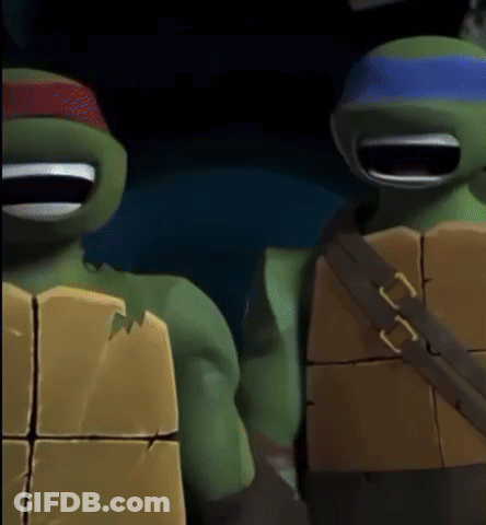 Two Teenage Mutant Ninja Turtles GIF