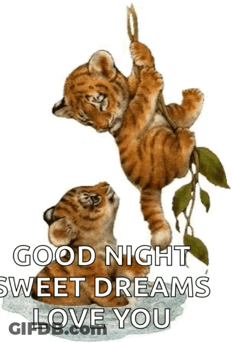 Two Tiger Cubs Hanging From Tree Branch Saying Good Night Sweet Dreams Love You GIF