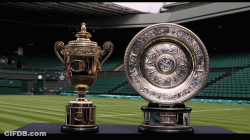 Two Trophies In Front Of Stadium GIF