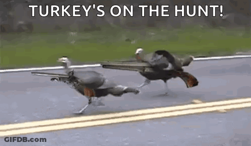 Two Turkeys Are Running Down A Road With Guns In Their Mouths . GIF