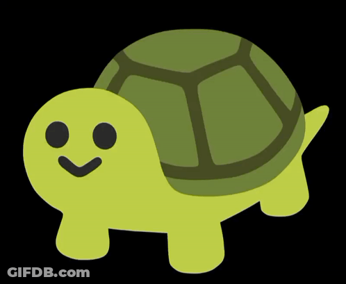 Two Turtles Crawling Post These Turtles The 16Th Of Every Month GIF