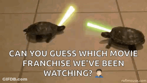 Two Turtles Standing Next To Each Other GIF