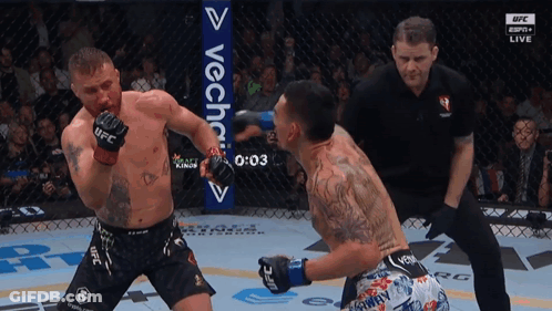 Two UFC Fighters In Ring GIF