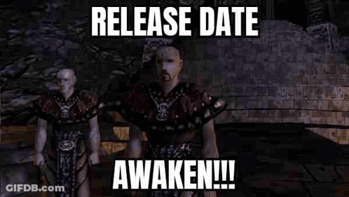 Two Video Game Men Saying Release Date Awaken GIF