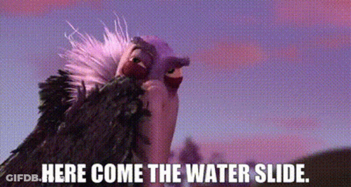 Two Vultures Are Standing Next To Each Other With The Words `` Here Come The Water Slide . '' GIF