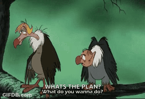 Two Vultures On Branch One Asking What The Plan Is GIF