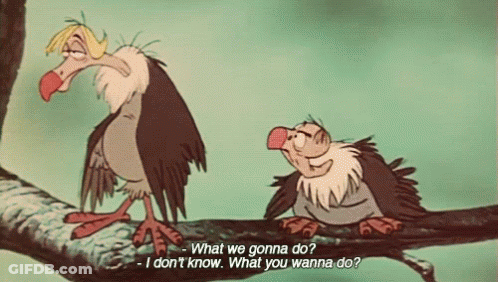 Two Vultures On Branch Saying What We Gonna Do GIF
