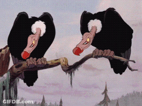 Two Vultures Perched On Tree Branch Beaks Open GIF