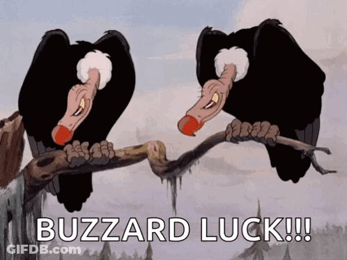 Two Vultures Perched On Tree Branch Saying Buzzard Luck GIF