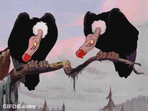 Two Vultures Perched On Tree Branch With Beaks Open GIF