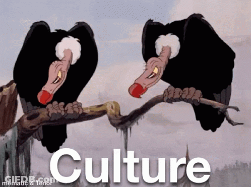 Two Vultures Perched On Tree Branch With Culture GIF