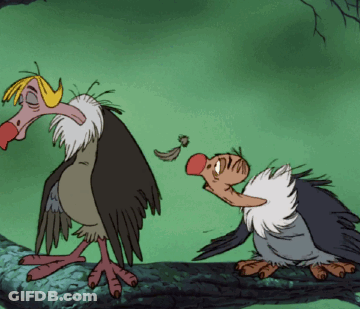 Two Vultures Standing On A Log GIF