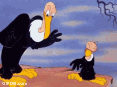 Two Vultures Standing On Rock GIF