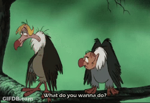 Two Vultures Standing Saying What Do You Wanna Do GIF