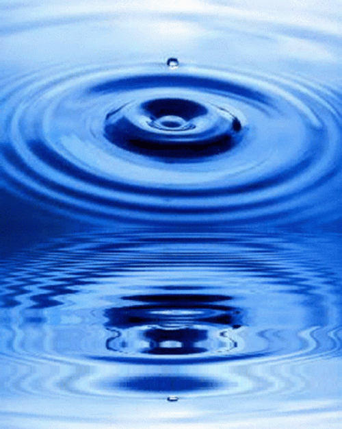 Two Water Ripples Drip GIF