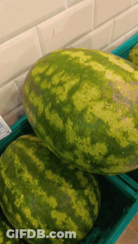 Two Watermelons Are Stacked On Top Of Each Other In A Green Container GIF