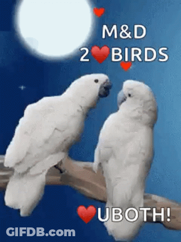 Two White Birds Are Sitting On A Branch With Hearts On Them . GIF