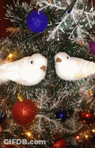 Two White Birds Are Sitting On A Christmas Tree With Red And Blue Ornaments GIF