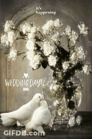 Two White Birds Kissing In Front Of A Vase Of Flowers With The Words Wedding Day GIF