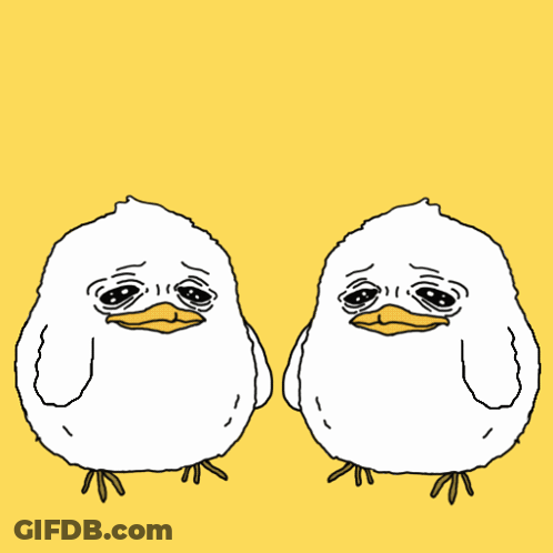 Two White Birds With Sad Faces Are Sitting Next To Each Other GIF