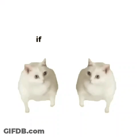 Two White Cats Standing Next To Each Other With The Words And If You Don T I 'Ll Ugh Anyway GIF