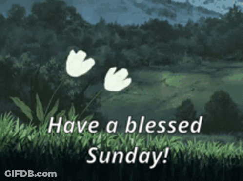 Two White Flowers Have A Blessed Sunday GIF