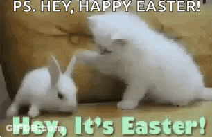 Two White Kittens Are Playing With A White Rabbit On A Table . GIF