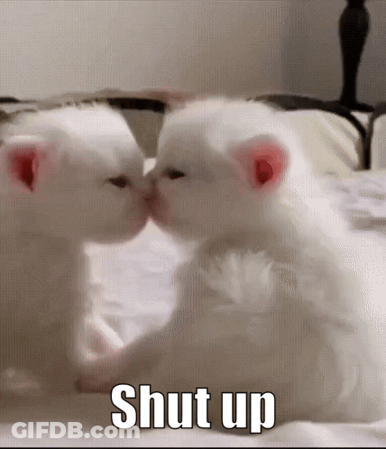 Two White Kittens Kissing In Front Of A Mirror With The Words Shut Up In The Corner GIF