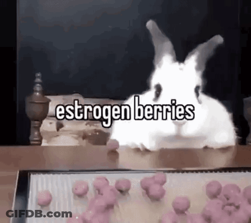 Two White Rabbits Are Sitting On A Table Next To A Tray Of Pink Berries . GIF